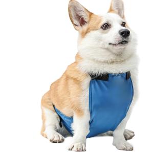 Pet Belly Vest