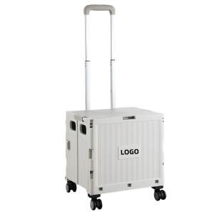 Collapsible Rolling Crate