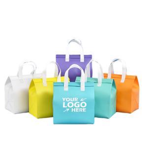 Food Delivery Thermal Bag