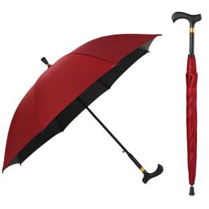 2-in-1 Walking Sticks Umbrella