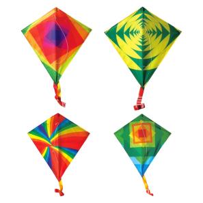 Customizable Fly Kite 