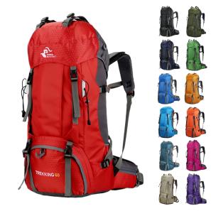 60L Travel Backpack with Rain Cover